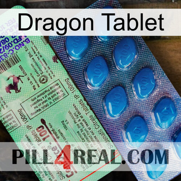 Dragon Tablet new02.jpg